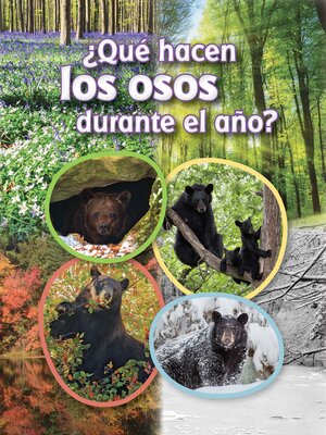 cover image of ¿Qué hacen los osos durante el año?